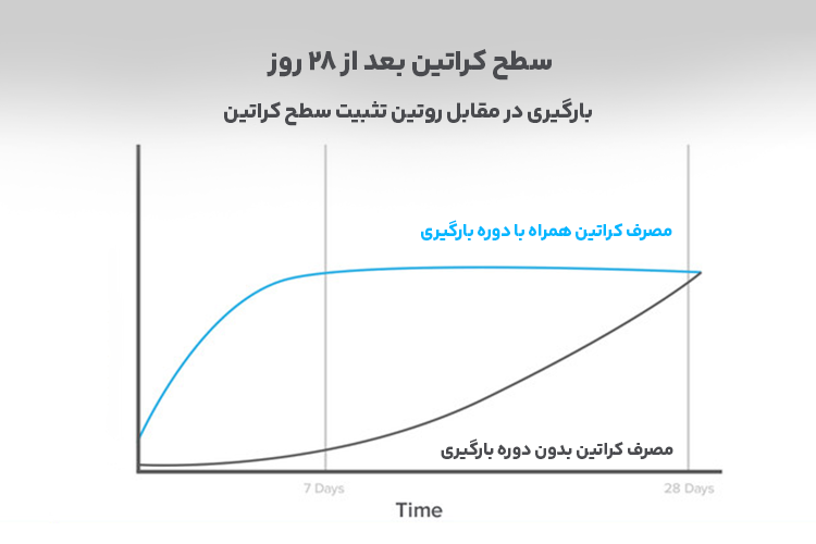 سطح کراتین بعد 28 روز بدون بارگیری و با بارگیری